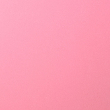 Foglio Monocolore LISCIO Pink 216gms 30x30cm