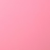 Foglio Monocolore LISCIO Pink 216gms 30x30cm