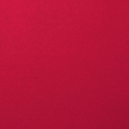 Foglio Monocolore LISCIO Ruby 216gms 30x30cm