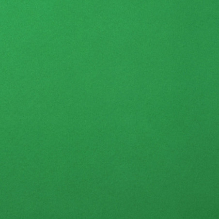 Foglio Monocolore LISCIO Holly 216gms 30x30cm