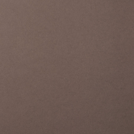 Foglio Monocolore LISCIO Concrete 216gms 30x30cm