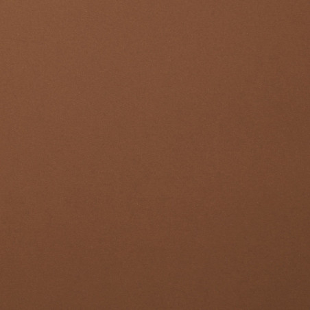Foglio Monocolore LISCIO Hazelnut 216gms 30x30cm