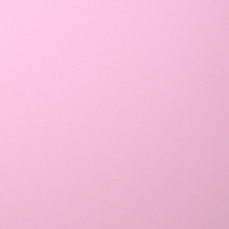 Foglio Monocolore LISCIO Lilac 216gms 30x30cm