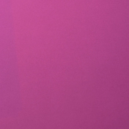 Foglio Monocolore LISCIO Plum 216gms 30x30cm