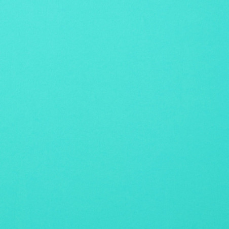 Foglio Monocolore LISCIO Sky 216gms 30x30cm