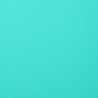 Foglio Monocolore LISCIO Sky 216gms 30x30cm
