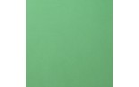 Foglio Monocolore LISCIO Emerald 216gms 30x30cm