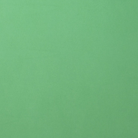 Foglio Monocolore LISCIO Emerald 216gms 30x30cm