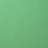 Foglio Monocolore LISCIO Emerald 216gms 30x30cm