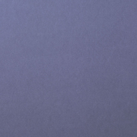 Foglio Monocolore LISCIO Steel 216gms 30x30cm