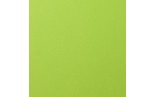 Foglio Monocolore LISCIO Lime 216gms 30x30cm