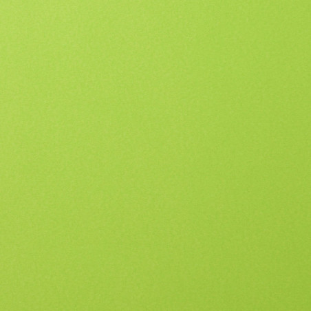 Foglio Monocolore LISCIO Lime 216gms 30x30cm