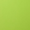 Foglio Monocolore LISCIO Lime 216gms 30x30cm