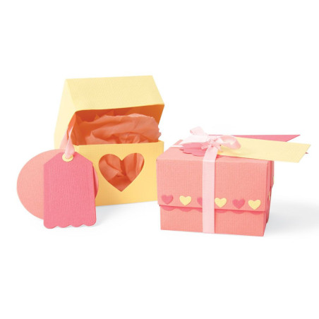 Thinlits Plus Die Set 10pz - Box & Labels 663853