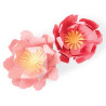 Bigz Die - Summer Blooms 663860