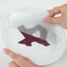 Silhouette Transfer Tape STRONG 305mm x 183cm