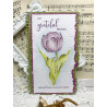 StudioLight Clear Stamp A6 Essentials nr. 427