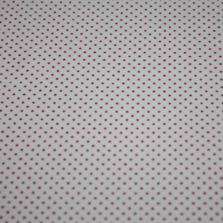 Foglio Moosgummi Bianco a pois Rossi 60x40cm