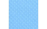 Cartoncino Bazzill Dotted Swiss Poolside 30x30cm 216gsm