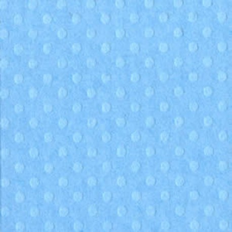 Cartoncino Bazzill Dotted Swiss Poolside 30x30cm 216gsm