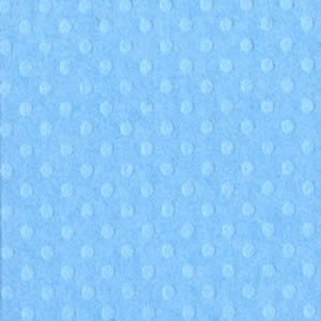 Cartoncino Bazzill Dotted Swiss Poolside 30x30cm 216gsm