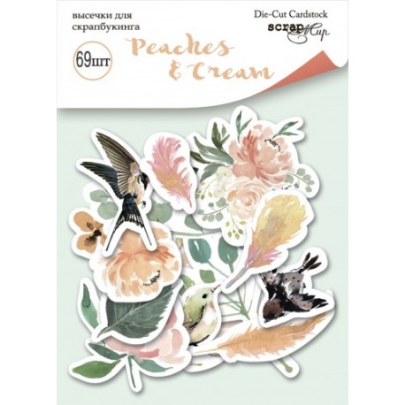 ScrapMir Peaches & Cream Die-Cut Cardstock 69pz