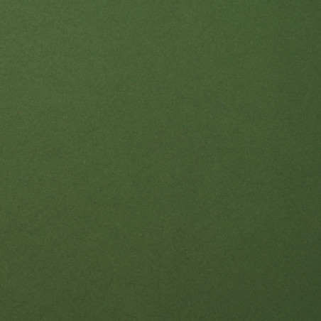 Foglio Monocolore LISCIO Pine 216gms 30x30cm