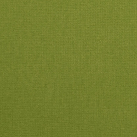 Cartoncino effetto tela Fern 216 gsm 30x30cm