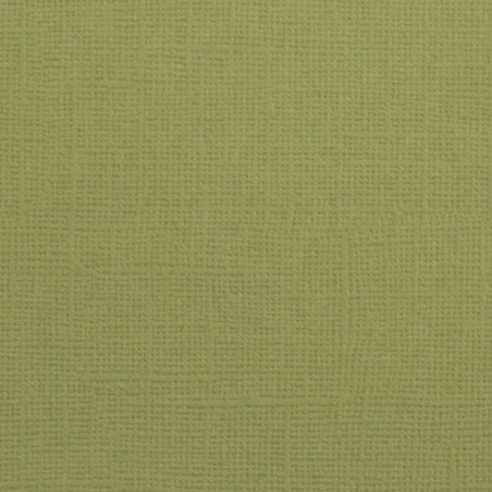 Cartoncino effetto tela Acacia 216gsm 30x30cm