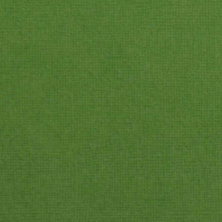 Cartoncino effetto tela Grasshopper 216gsm 30x30cm