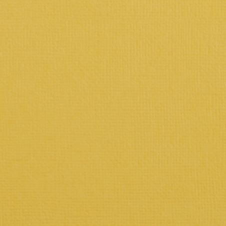 Cartoncino Effetto Tela Bee 216gsm 30x30cm