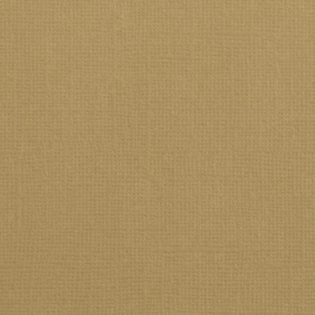Cartoncino Effetto Tela Peanut 216gsm 30x30cm