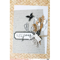 Les Ateliers de Karine Intemporelle Rencontre Insolite Clear Stamp