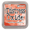 Distress Oxides Ink Pad Crackling Campfire