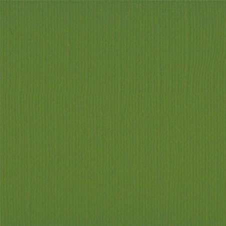 Cartoncino Effetto Tela A4 Olive 216 gsm