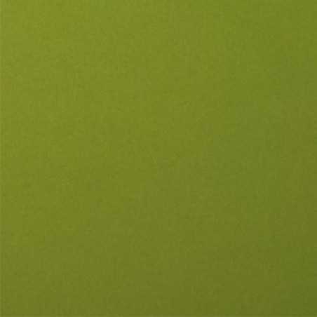 Foglio Monocolore LISCIO Olive 216gms 30x30cm