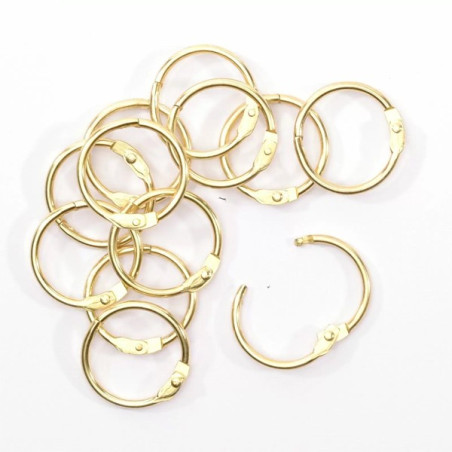 12 Anelli per Album 2,5 cm ORO