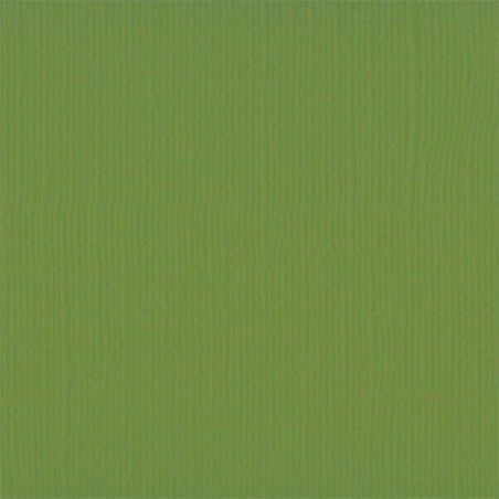 Cartoncino Effetto Tela Olive  216gsm 30x30cm