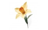 Bigz L Die Daffodil 665107