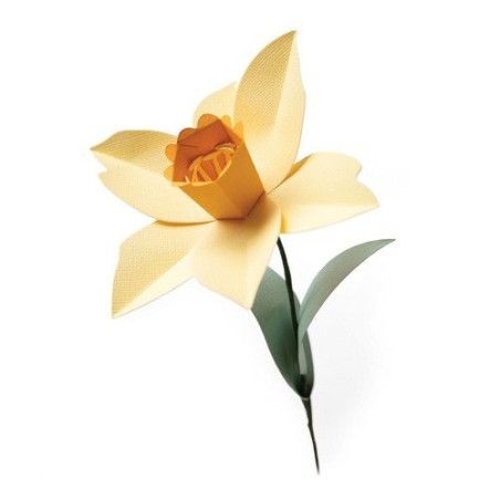 Bigz L Die Daffodil 665107