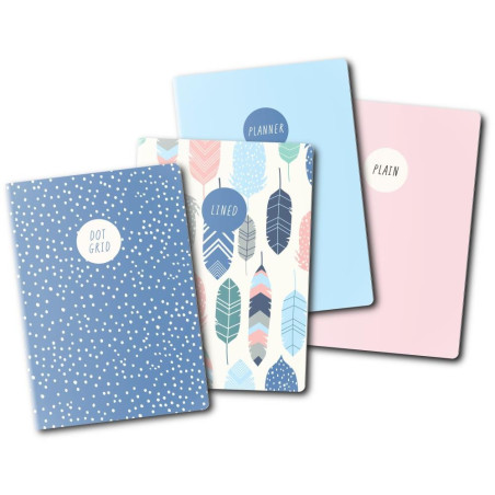 Carpe Diem A6 Notebooks Feathers 4pezzi