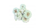 Prima Marketing Watercolor Floral Flowers Minty Water