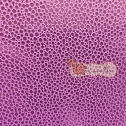 Carta Rivestimento Pelle di Rettile Magenta
