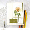Woodless Watercolor Pencil 24 Set