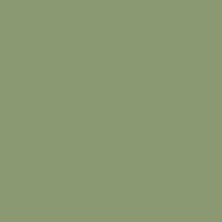 Foglio Monocolore LISCIO Acacia 216gms 30x30cm