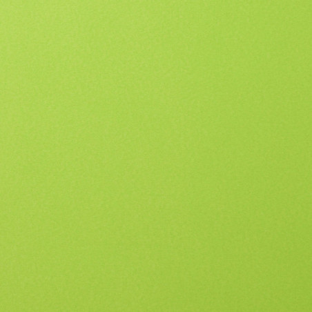 Foglio A4 Monocolore LISCIO Lime 216gsm