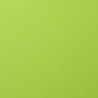 Foglio A4 Monocolore LISCIO Lime 216gsm