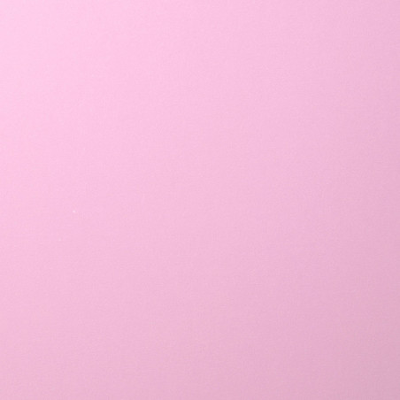 Foglio A4 Monocolore LISCIO Lilac 216gsm