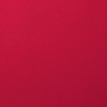 Foglio A4 Monocolore LISCIO Ruby 216gsm