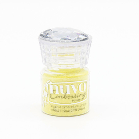 NUVO EMBOSSING POWDER – Happy Daze